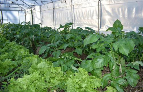 CR familiar PrimaVera Jarandilla de la Vera - Foto 38