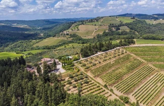 Charming Vineyard Escape - Foto 41