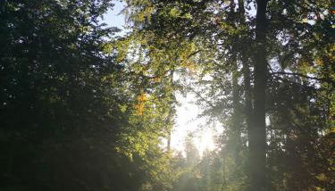 Gartenwohnung Paulsdorf - Foto 5