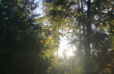 Gartenwohnung Paulsdorf - Foto 5