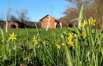 Domki Nad Potokiem - Foto 16