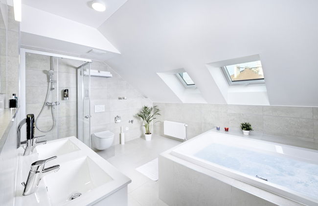 DownTown Suites Jugoslavska - Photo 40