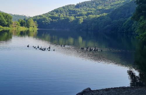 Ferienwohnung am Rursee - Photo 18
