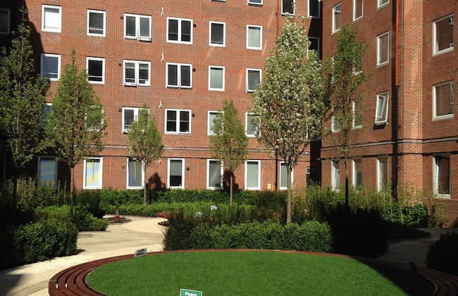 Student Only OLIB - Foto 1