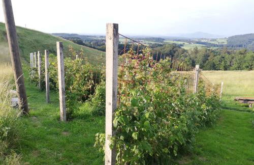 Haus Monika - Foto 16