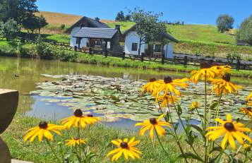 Domki Nad Liliowym Stawem - Photo 7