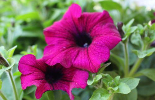 Ferien im Bomlitztal - Foto 6