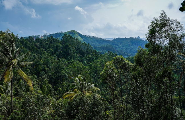 OYO 16630 Home Cocoa Tree Residency - Foto 31