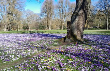 Ferienwohnung Mia - Foto 37