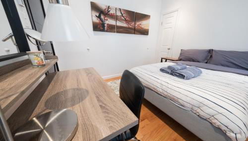 3 BD next to Central Park - Photo 5