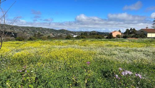 Casa La Veguetilla en San Mateo - Foto 4