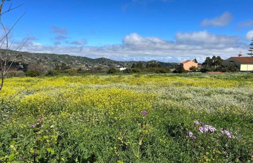 Casa La Veguetilla en San Mateo - Foto 4