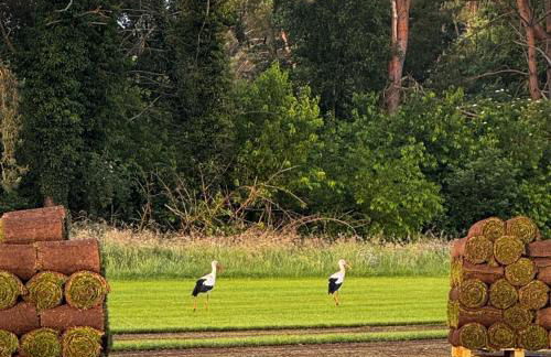 Das Blaue Haus - Foto 16