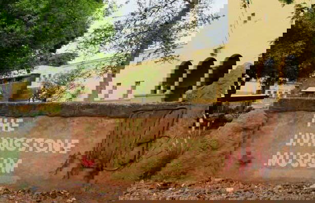 6-Day Safari to Livingstone - Photo 3