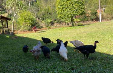 Hotel Fazenda Bonanza - Foto 53