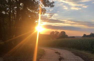 Ferienwohnung Sonnenhof - Foto 20