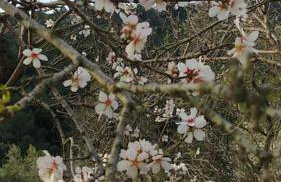 Cottage Eco-Friendly Barcelona country side - Foto 38