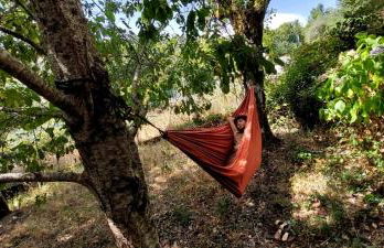 Casa do Coentral a sua casa Rustica - Foto 5