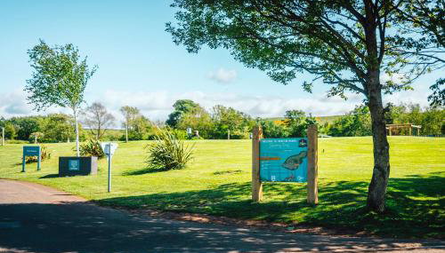 Thurston Standard Daisy Caravan 1 - Foto 5