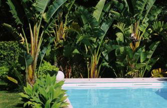 Casa Oliva - Casa da Serra - Foto 57