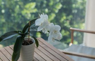 Apartments Sea - Foto 39