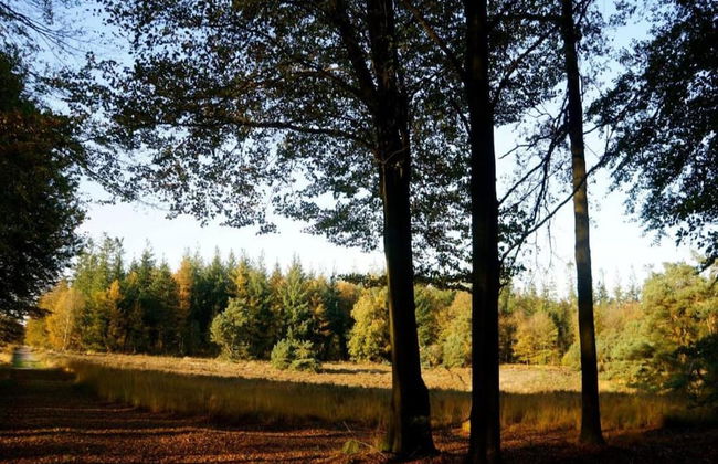 Cottage Near Bourtange With Hot Tub - Foto 28