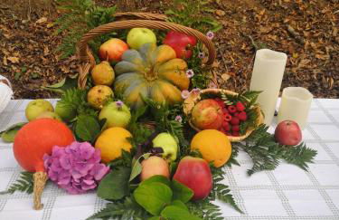 Quinta das Águias - Foto 37