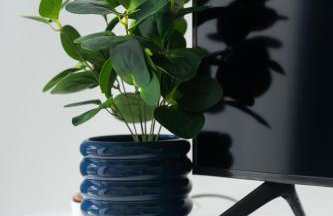 Nadmorski Apartament z dostępem do basenu, sauny, jacuzzi i ogródkiem przy plaży 114 Rezydencja Niechorze - Foto 13