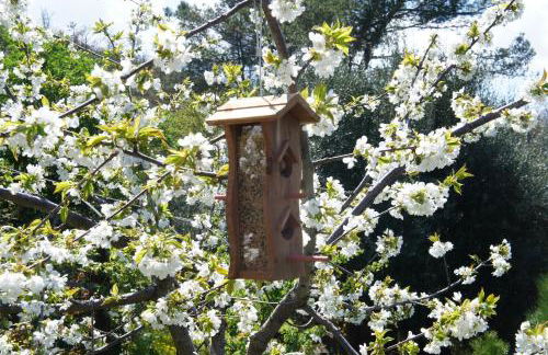 EcoResort Il Cantico della Natura - Photo 46