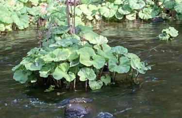 Ferienhaus Rübeland - Foto 17