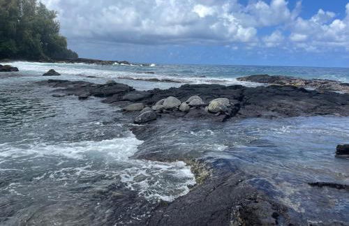 Hale O Malu at Kaloli Point - Foto 37