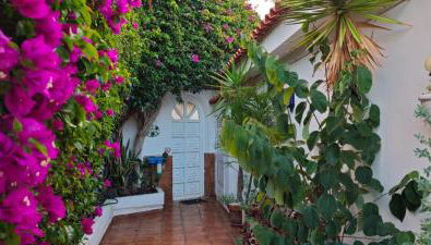 Villa Larnia de Tenerife - Foto 3, Garden