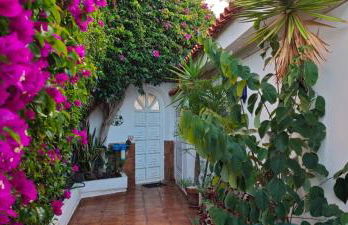 Villa Larnia de Tenerife - Foto 3