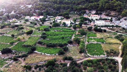 Apartman Dani - Photo 5