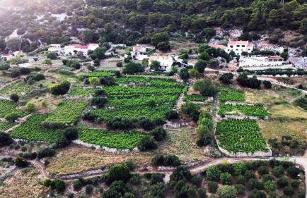 Apartman Dani - Foto 5