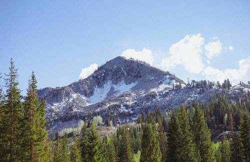 Brighton Ski Resort Hidden Falls 1 Bedroom Chalet Utah - Foto 31