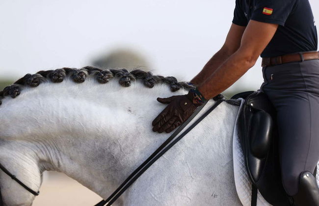 Spectacle équestre à Carmona - Photo 8