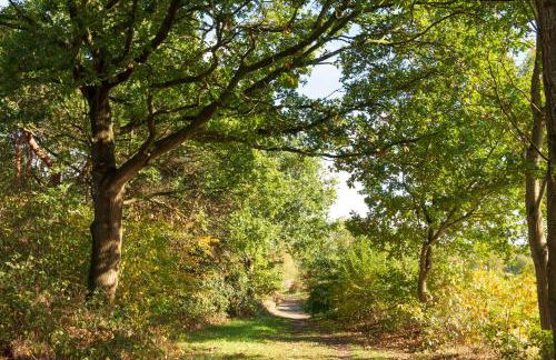 Ferienhaus Clara - Foto 33