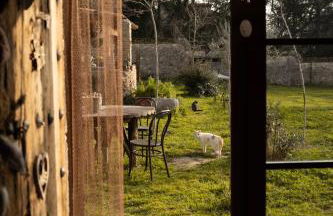 Can Camós - Masia Rural - Photo 8