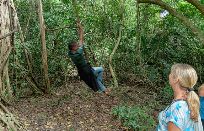 Tour por el bosque Kaya Kinondo - Foto 6