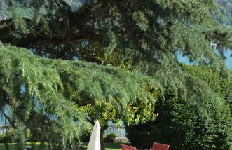 Beautiful apartment on the lake, pool & parking - Nr 123 - Photo 27