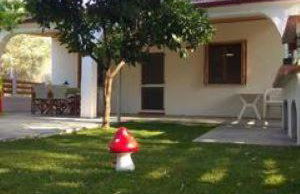 Oνειροπαγίδα - Photo 11