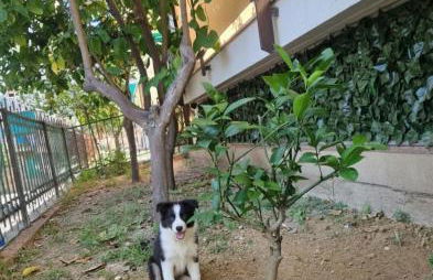 Alis home 100 mt dal mare - Foto 28