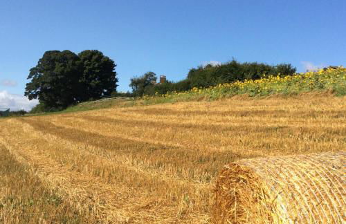 Tweed Hideaway - Foto 24