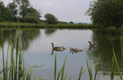 Fair Farm Hideaway - Photo 21