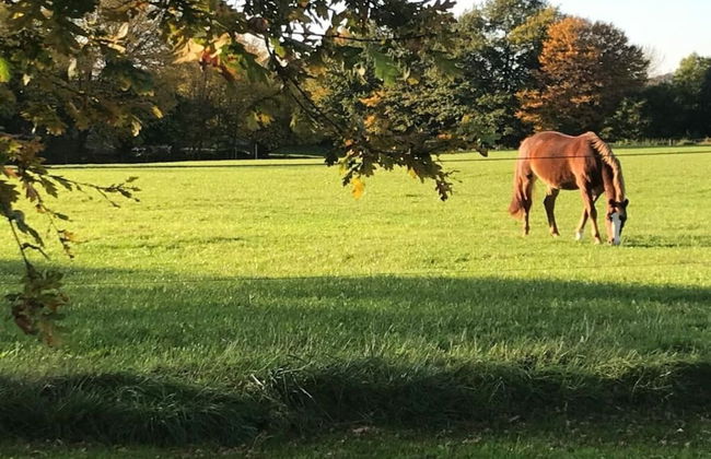 Fordehus Modern Retreat - Photo 12