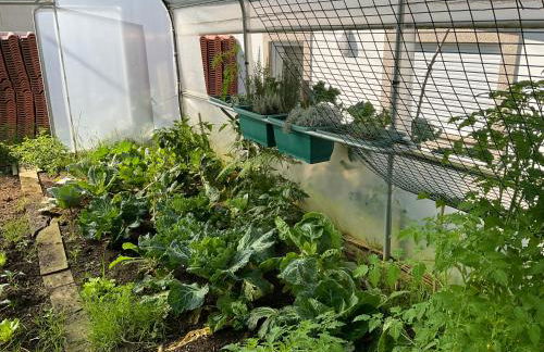 CRALS - Casa da Guilheta - Foto 35