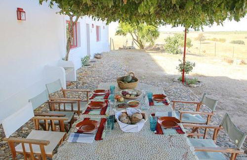 Monte do Arneiro - Foto 39