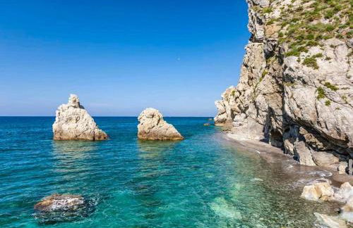 Donna Concetta - Foto 20