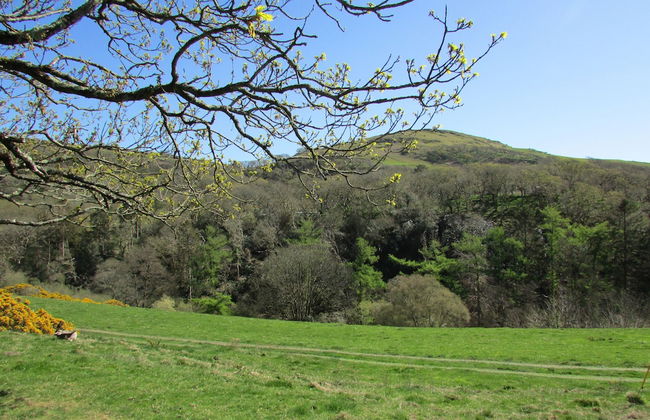 Golygfa'r Cwm - Foto 30